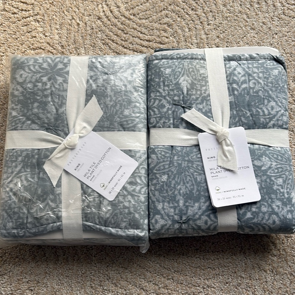 Pottery Barn Mila plant dyed tile print  pair of shams- x 2 king.